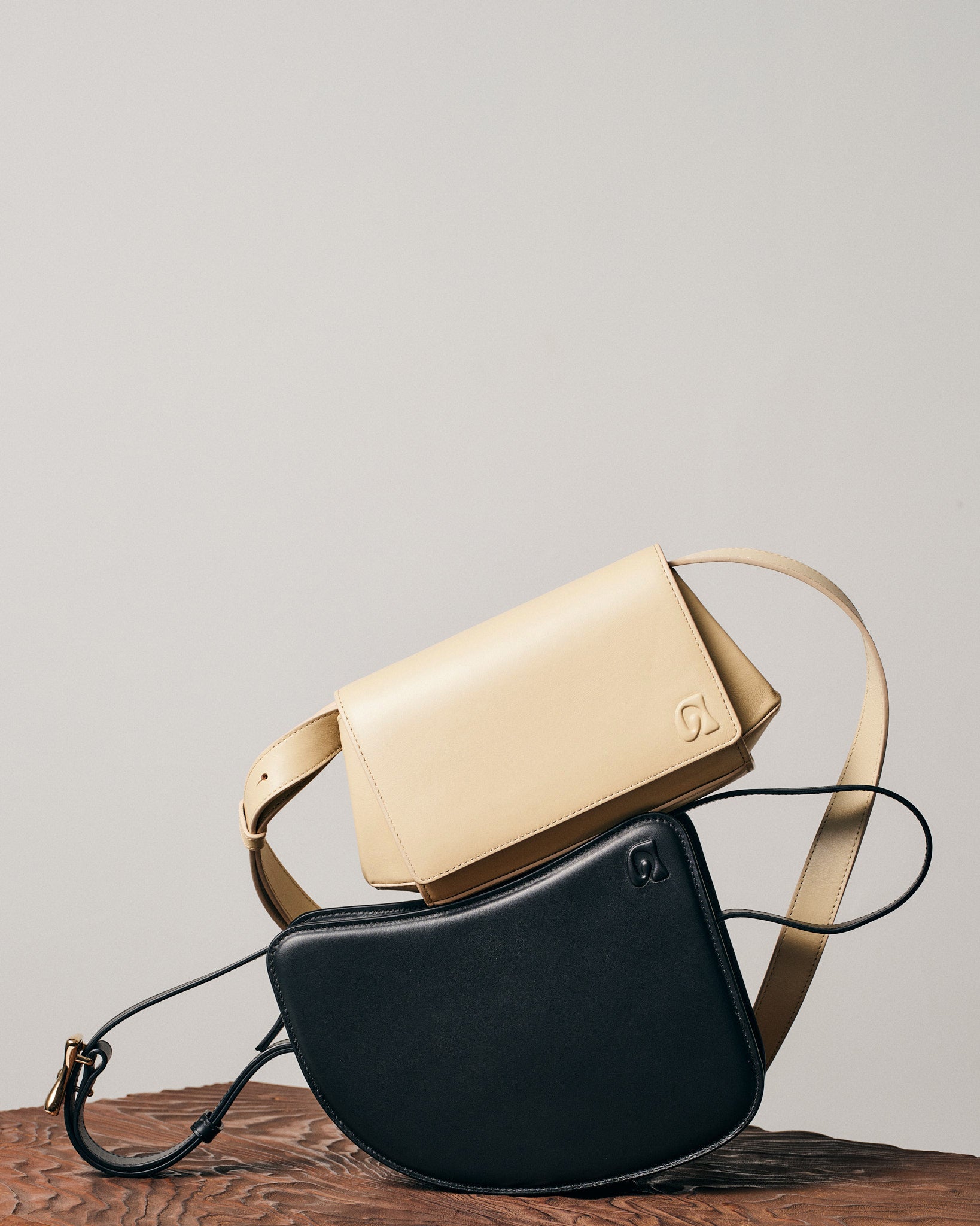 Still life with Benjamin Vigliotta